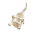 Broszko- wisior srebrny Kot AB05